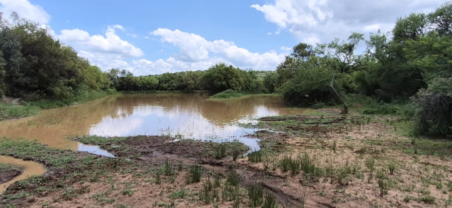 0 Bedroom Property for Sale in Koster North West